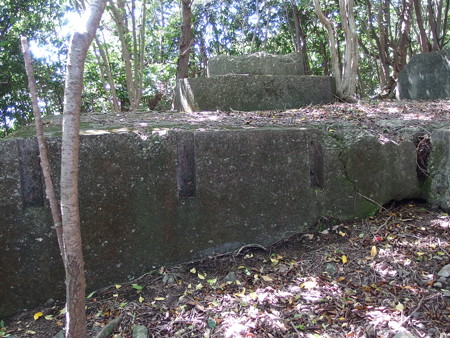 P5123693