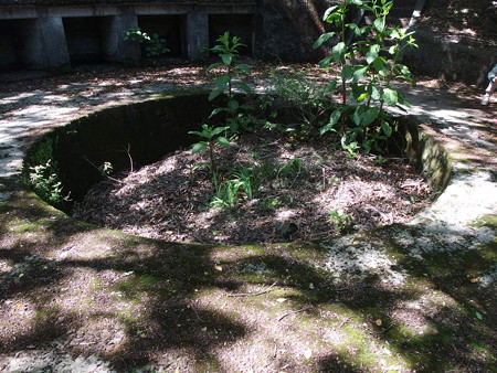 P5123701