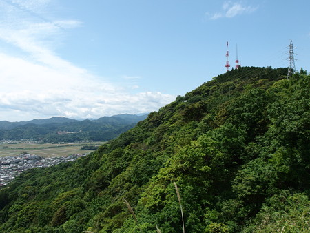 P5113659