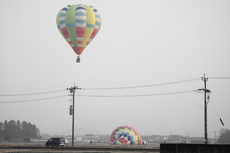 DSC08378 (1)