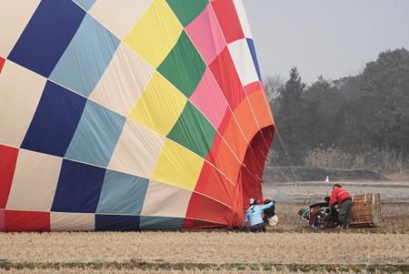 DSC08405 (1)