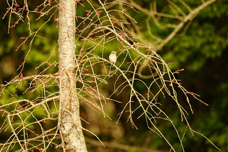 DSC00151