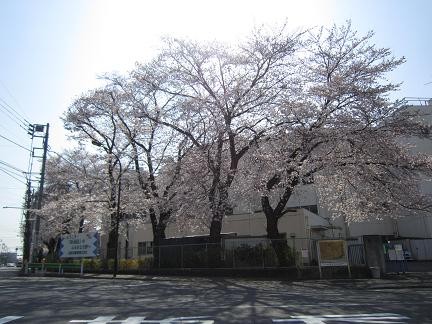 圧巻ですね^^