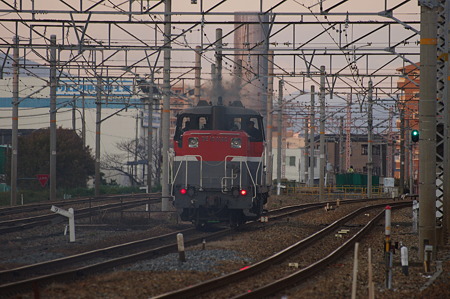 IMGP6888