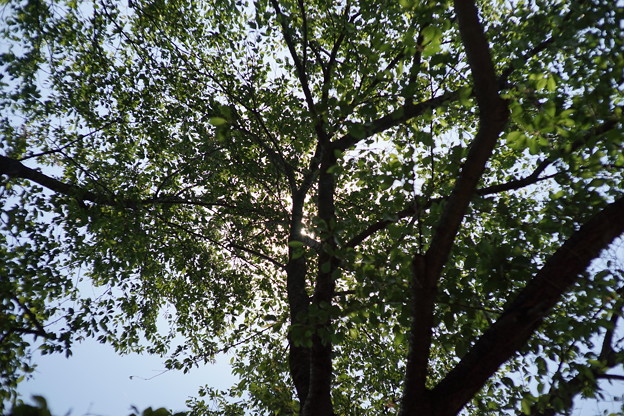 DSC02549