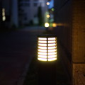 DSC02520