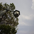 DSC02852