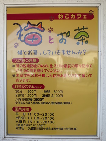 上越に暮らすtakeさんの忘我混沌な日常 ねこカフェ 猫とお茶 にゃんこに癒されるお店にゃのだ Shop Data