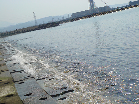 DSC01382のコピー