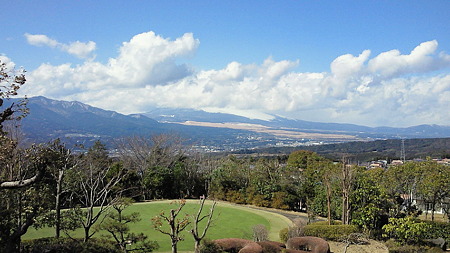 NEC_0110