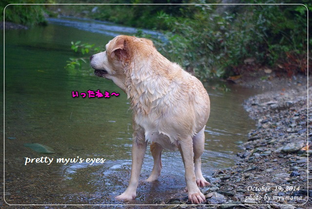 写真: s-073