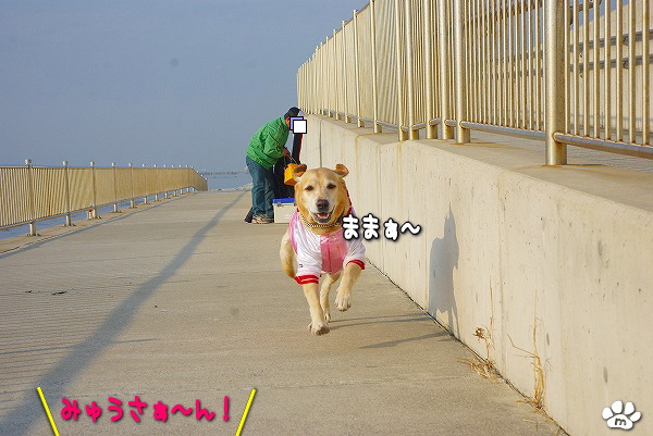 s-myu2009_1230_24 s-myu2009_1230_24