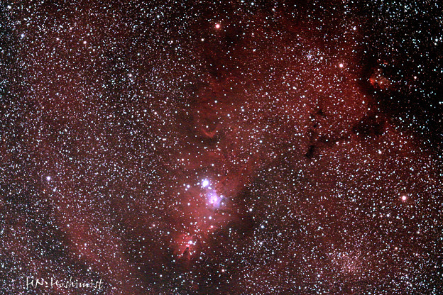 Ngc2236クリスマスツリー星団 写真共有サイト フォト蔵