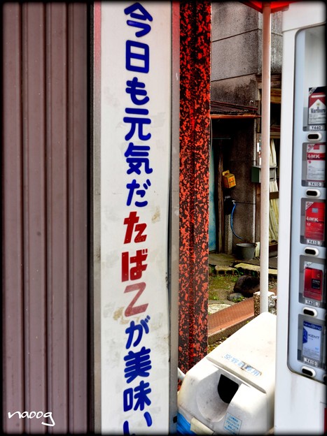 隙間の盛り沢山