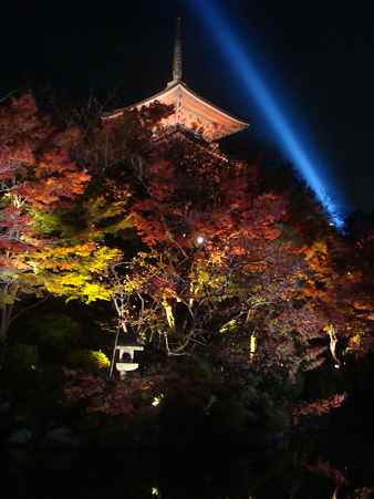 紅葉５