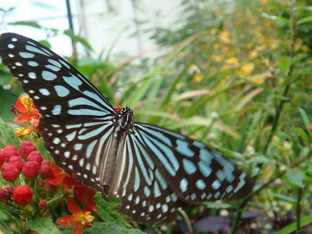 DSC03580