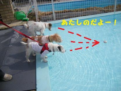 あたしのものよ~!!
