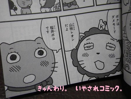 きゅんわり。