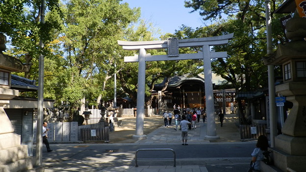 P9288390