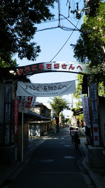 P9288389