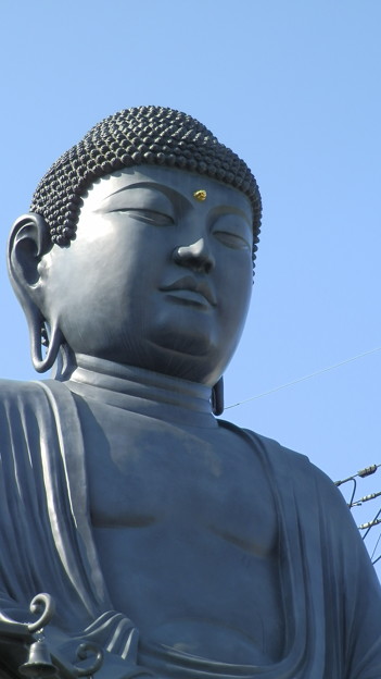 P9288369