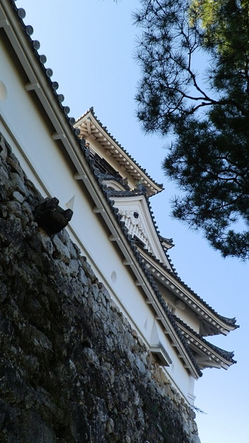 P1012705