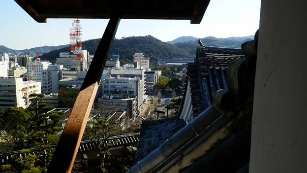 P1012683