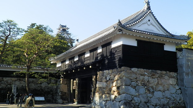 P1012659