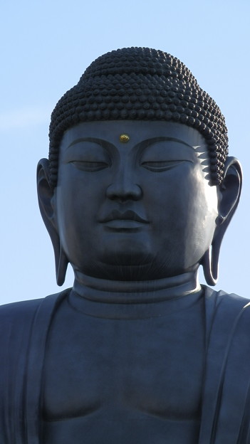 P2112882