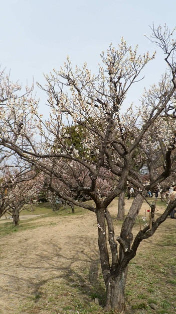 P3062961