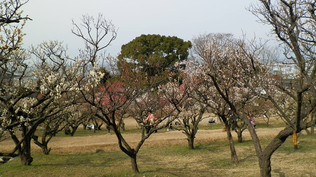 P3062960