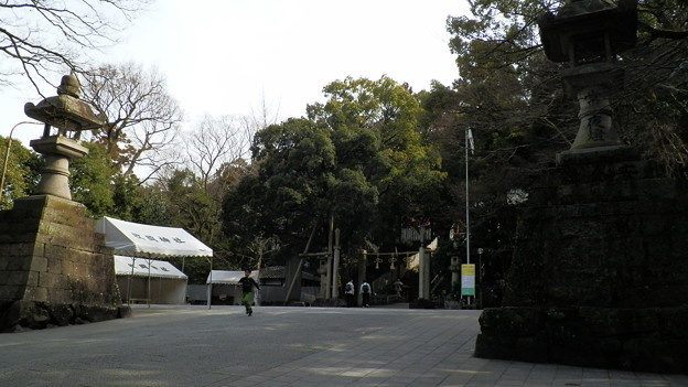 P3062942