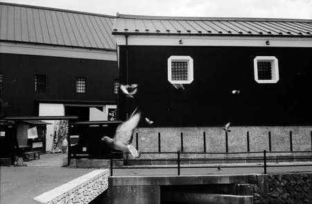 Image0158（Rollei 35T）