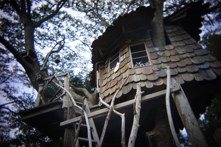 DSC09281