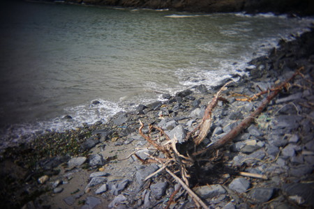 DSC09305