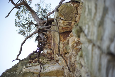 DSC09630