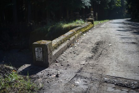 DSC09692