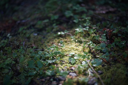 DSC09701