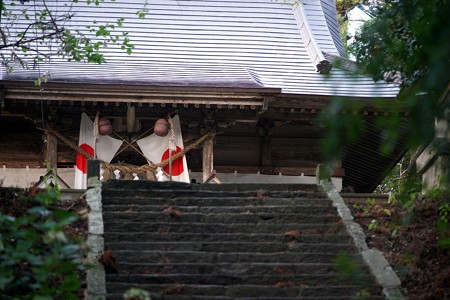DSC01445