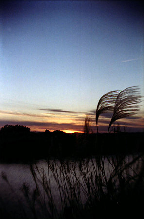 Image0979(gakkenflex)