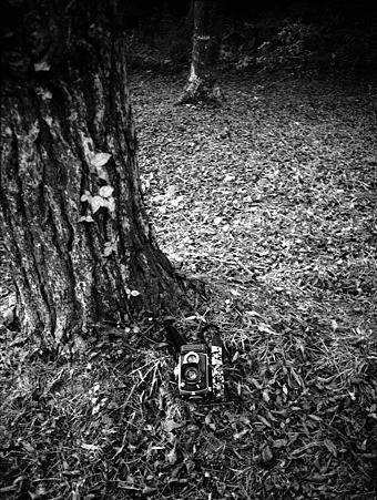 Image1023(OLYMPUS PEN)