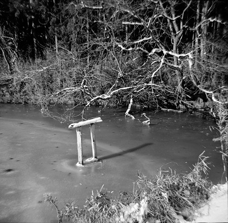 Image0007（FUJIPET EE）