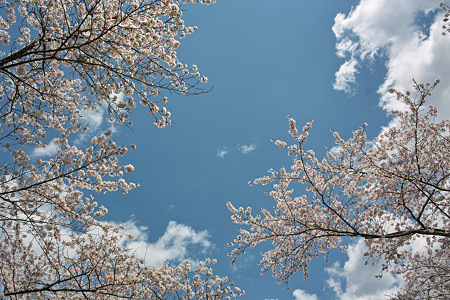 SDIM0376