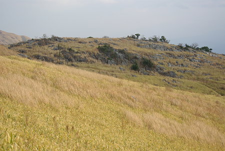 IMGP1441
