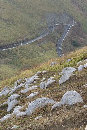 IMGP1456