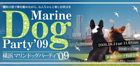 main_img