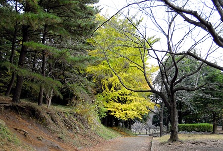 DSCN0329
