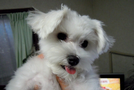 DSCN0642