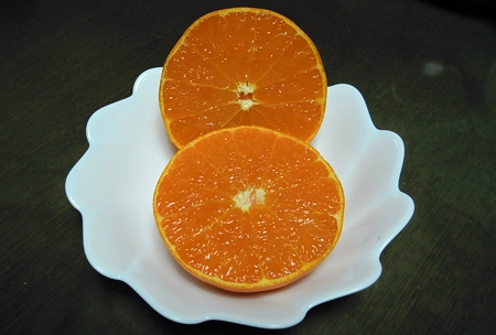 DSCN0895