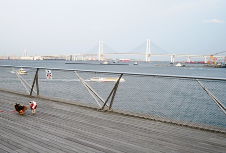 DSCN1074
